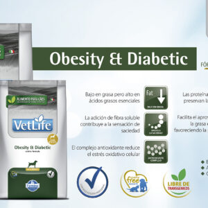 Concentrado Medicado - Obesity & Diabetic - VetLife