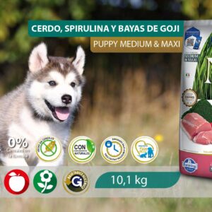 Alimento Canino - Cerdo, Spirulina y Bayas De Goji - Puppy Medium & Maxi - N&D Spirulina