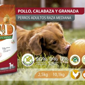 Alimento Canino - Pollo, Calabaza y Granada - Adultos Raza Mediana - N&D Pumpkin