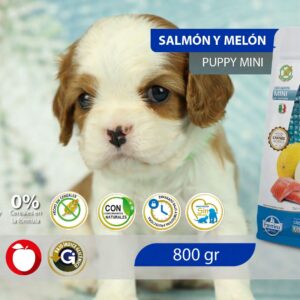 Alimento Canino - Salmón y Melón - Cachorros Razas Pequeñas - N&D Ocean