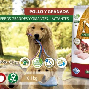 Alimento Canino - Pollo y Granada - Cachorros Razas Grandes y Gigantes, Lactancia - N&D Ancestral Grain