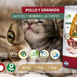 Alimento Felino - Pollo y Granada - Gatitos y Hembras Lactantes - N&D Ancestral Grain