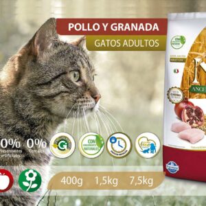 Alimento Felino - Pollo y Granada - Adultos - N&D Ancestral Grain