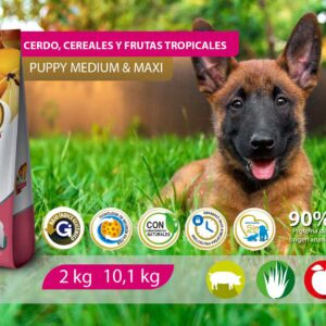 Alimento Canino - Cerdo, Cereales y Frutas Tropicales - Cachorros Razas Medianas y Grandes - N&D Tropical Selection