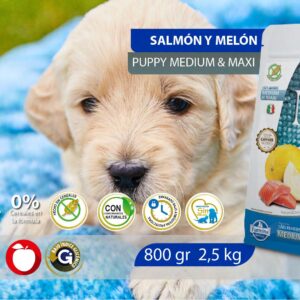 Alimento Canino - Salmón y Melón - Cachorros Razas Medianas y Grandes - N&D Ocean